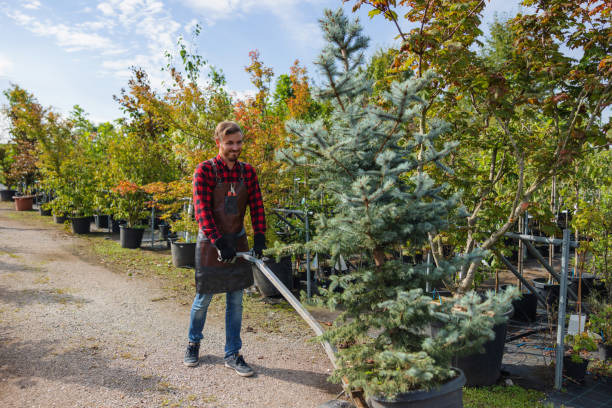Mulching Services in San Carlos, TX